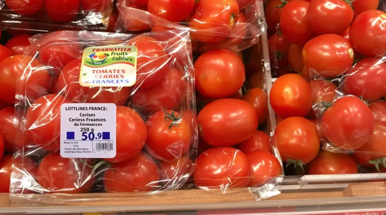 Tomates cerises : les producteurs français lancent l’opération reconquête